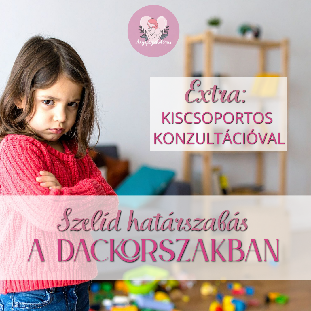 Szelíd határszabás a dackorszakban - Online videókurzus + Munkafüzet + Kiscsoportos konzultáció